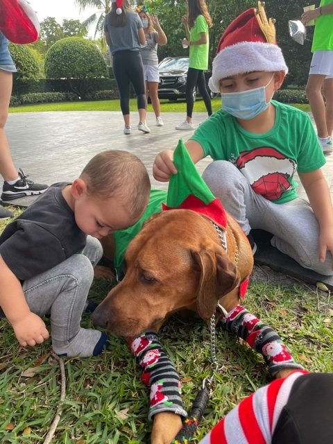 Genes Foundation event | Ale Ramos Therapy Animals