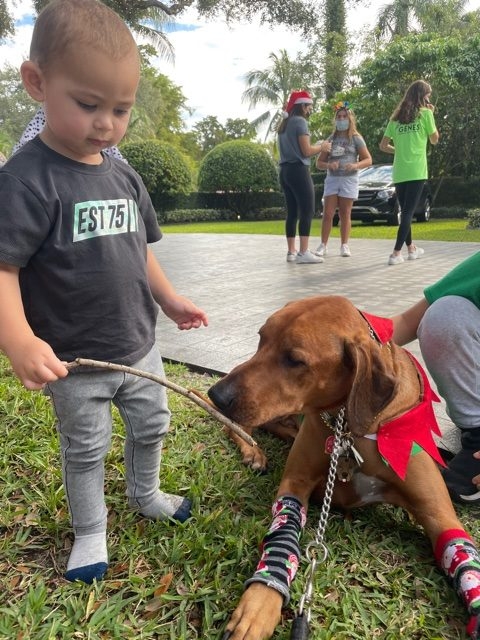 Genes Foundation event | Ale Ramos Therapy Animals