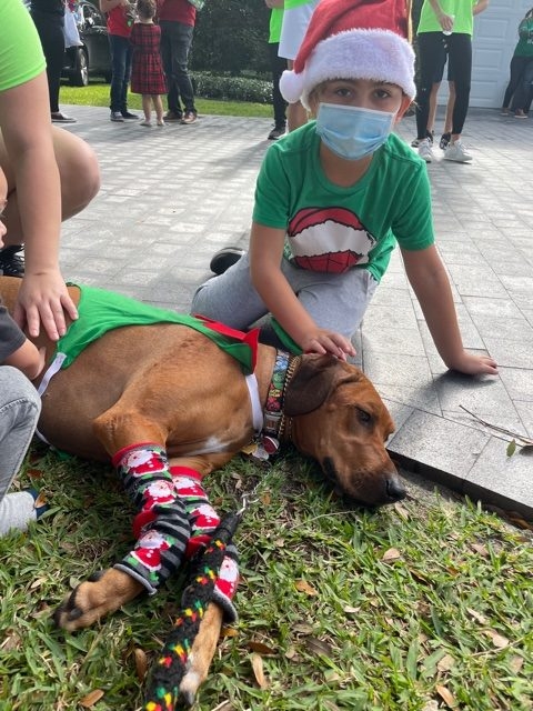 Genes Foundation event | Ale Ramos Therapy Animals