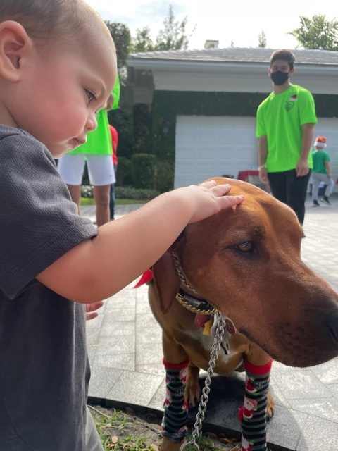 Genes Foundation event | Ale Ramos Therapy Animals