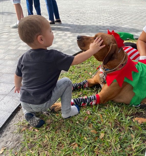 Genes Foundation event | Ale Ramos Therapy Animals