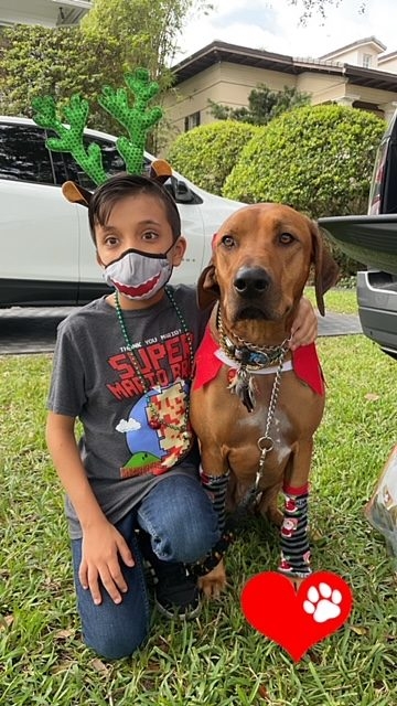 Genes Foundation event | Ale Ramos Therapy Animals