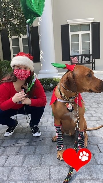 Genes Foundation event | Ale Ramos Therapy Animals