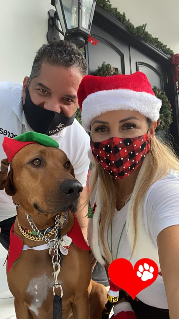Genes Foundation event | Ale Ramos Therapy Animals