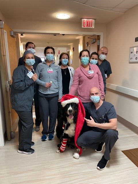 Mercy Hospital visit | Ale Ramos Therapy Animals