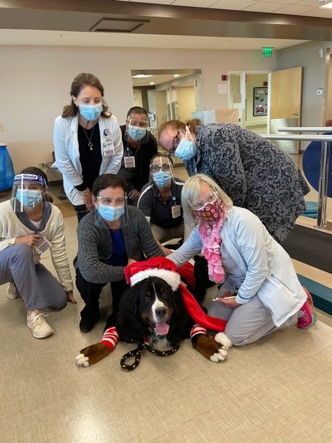 Mercy Hospital visit | Ale Ramos Therapy Animals