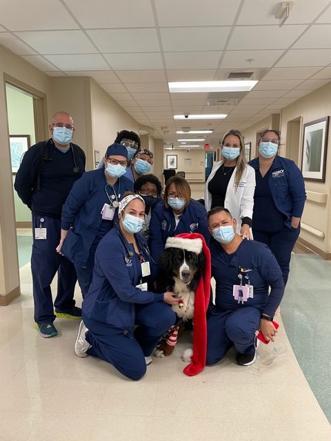 Mercy Hospital visit | Ale Ramos Therapy Animals