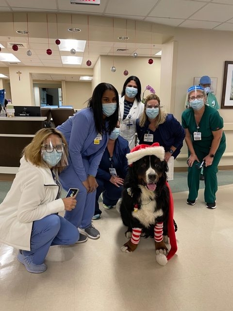 Mercy Hospital visit | Ale Ramos Therapy Animals