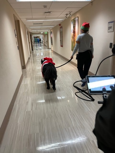 Mercy Hospital visit | Ale Ramos Therapy Animals