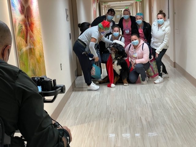 Mercy Hospital visit | Ale Ramos Therapy Animals