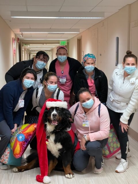 Mercy Hospital visit | Ale Ramos Therapy Animals