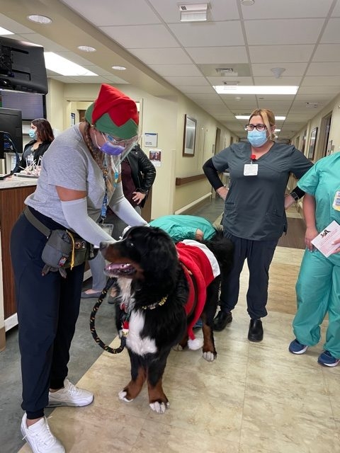 Mercy Hospital visit | Ale Ramos Therapy Animals