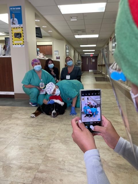 Mercy Hospital visit | Ale Ramos Therapy Animals