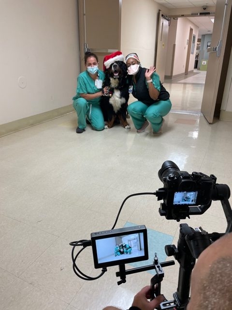 Mercy Hospital visit | Ale Ramos Therapy Animals