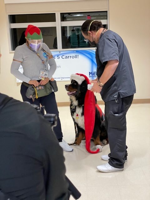 Mercy Hospital visit | Ale Ramos Therapy Animals