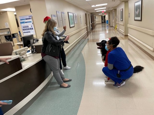 Mercy Hospital visit | Ale Ramos Therapy Animals