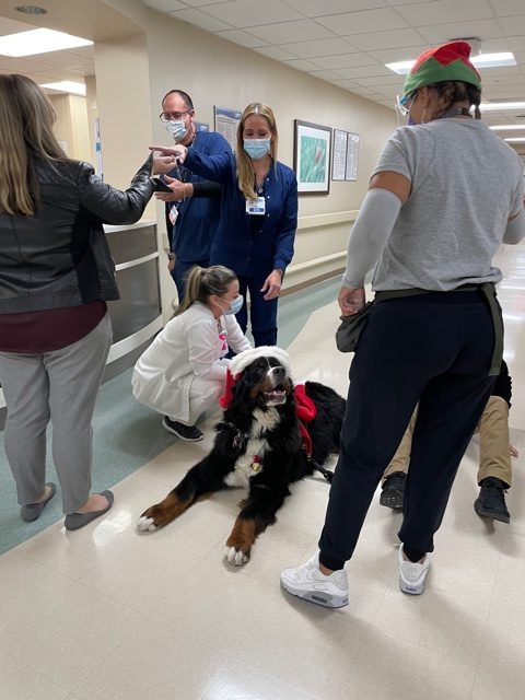 Mercy Hospital visit | Ale Ramos Therapy Animals