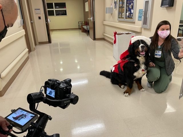 Mercy Hospital visit | Ale Ramos Therapy Animals