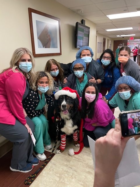 Mercy Hospital visit | Ale Ramos Therapy Animals