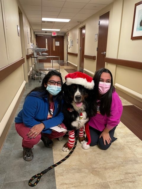 Mercy Hospital visit | Ale Ramos Therapy Animals