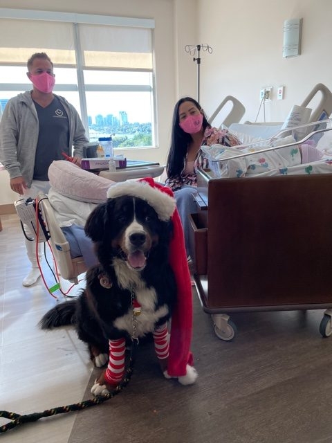 Mercy Hospital visit | Ale Ramos Therapy Animals