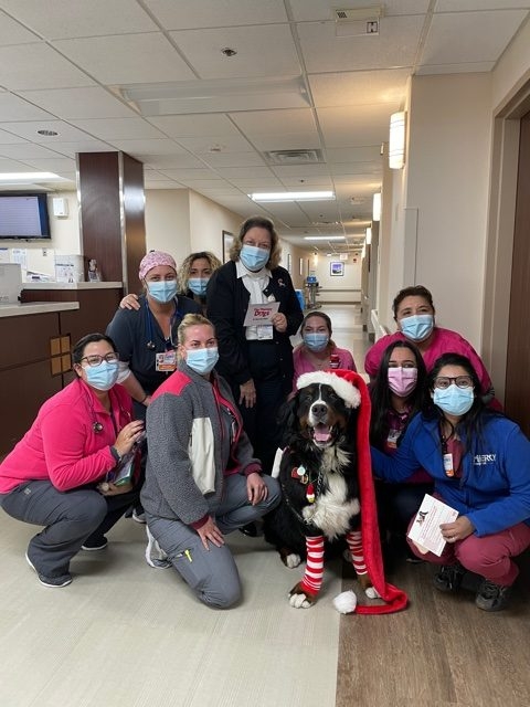 Mercy Hospital visit | Ale Ramos Therapy Animals