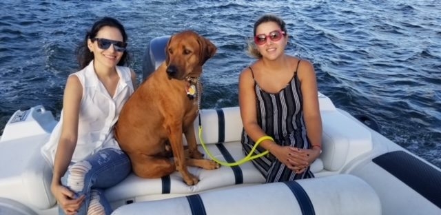 Odin Love | Ale Ramos Therapy Animals