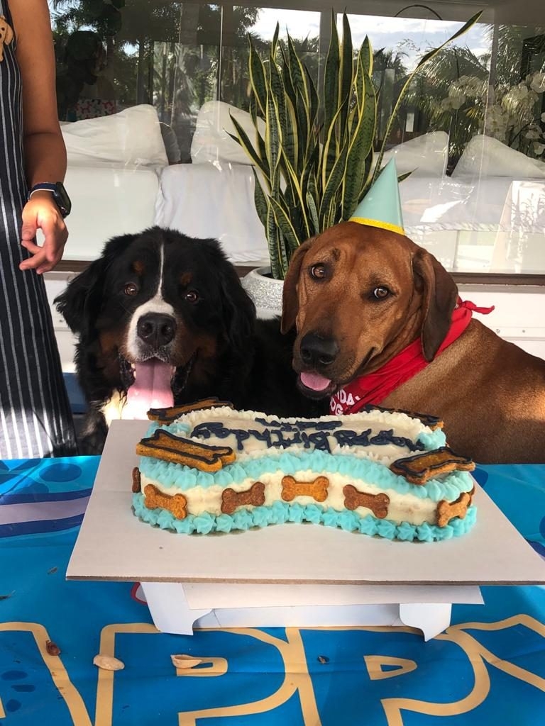 Odin Love | Ale Ramos Therapy Animals