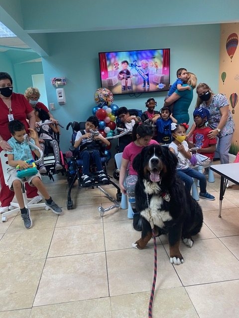 Pedikidz visit | Ale Ramos Therapy Animals