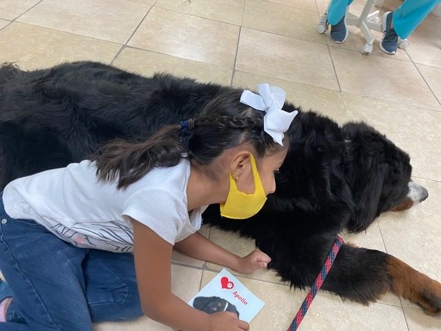 Pedikidz visit | Ale Ramos Therapy Animals