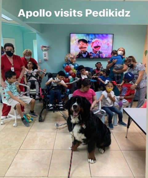 Pedikidz visit | Ale Ramos Therapy Animals