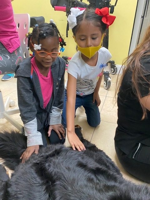 Pedikidz visit | Ale Ramos Therapy Animals
