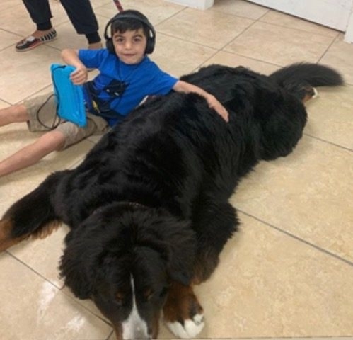 Pedikidz visit | Ale Ramos Therapy Animals