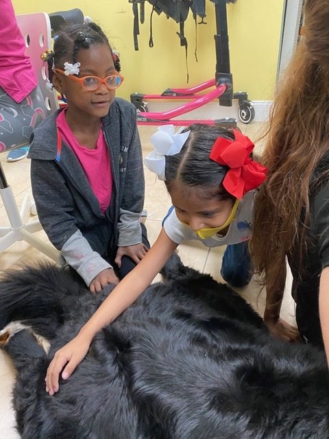 Pedikidz visit | Ale Ramos Therapy Animals