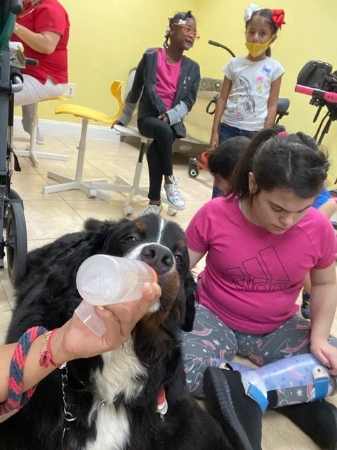 Pedikidz visit | Ale Ramos Therapy Animals