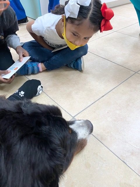 Pedikidz visit | Ale Ramos Therapy Animals