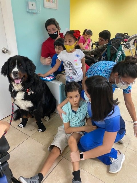 Pedikidz visit | Ale Ramos Therapy Animals