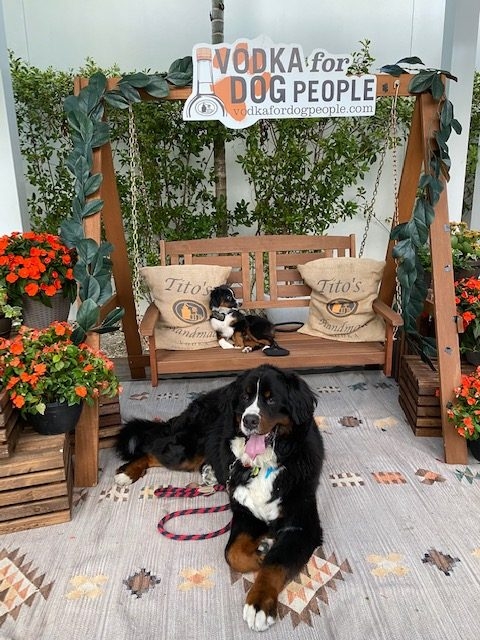 Sobewff - Chef Ted Allen - Nulo | Ale Ramos Therapy Animals