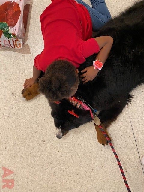 Valentine Celebration at Nicklaus Children’s Hospital Foundation | Ale Ramos Therapy Animals