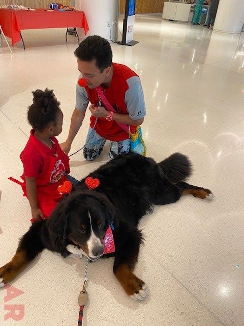 Valentine Celebration at Nicklaus Children’s Hospital Foundation | Ale Ramos Therapy Animals