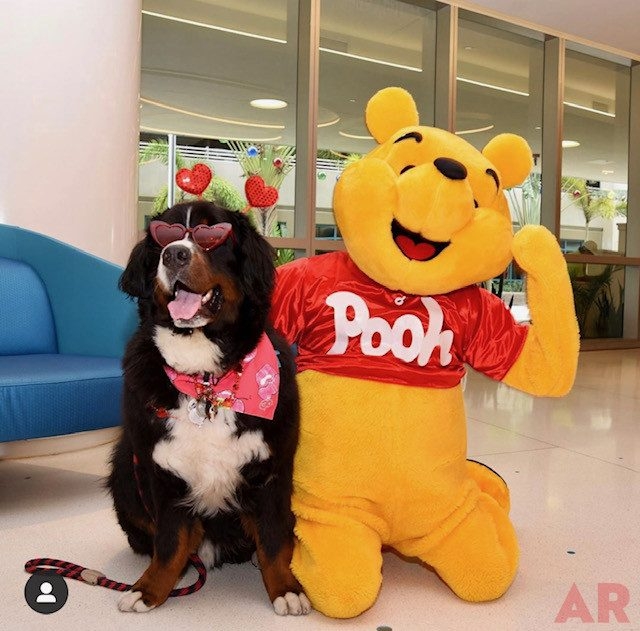 Valentine Celebration at Nicklaus Children’s Hospital Foundation | Ale Ramos Therapy Animals