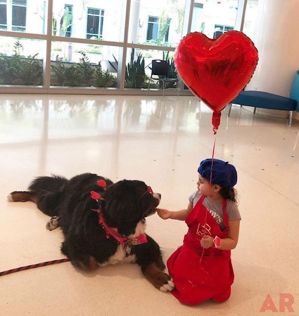 Valentine Celebration at Nicklaus Children’s Hospital Foundation | Ale Ramos Therapy Animals