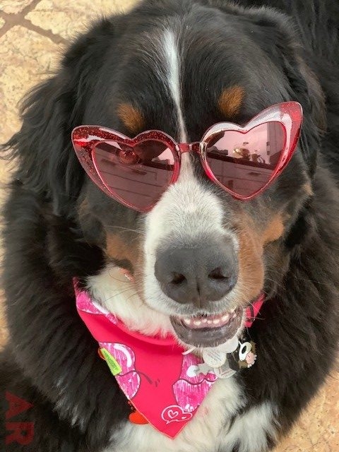 Valentine Celebration at Nicklaus Children’s Hospital Foundation | Ale Ramos Therapy Animals