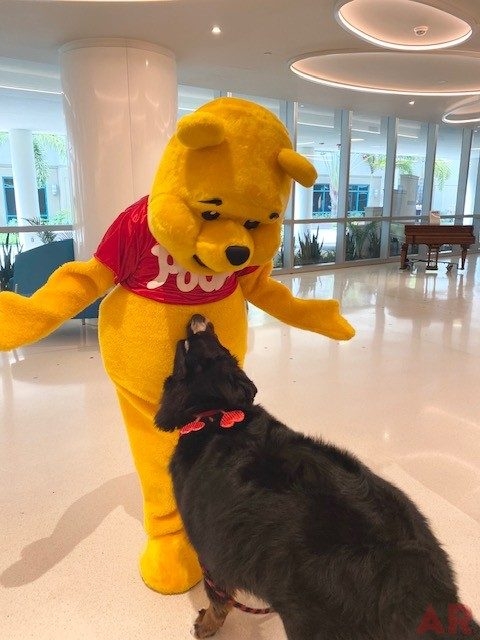 Valentine Celebration at Nicklaus Children’s Hospital Foundation | Ale Ramos Therapy Animals