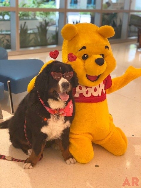 Valentine Celebration at Nicklaus Children’s Hospital Foundation | Ale Ramos Therapy Animals