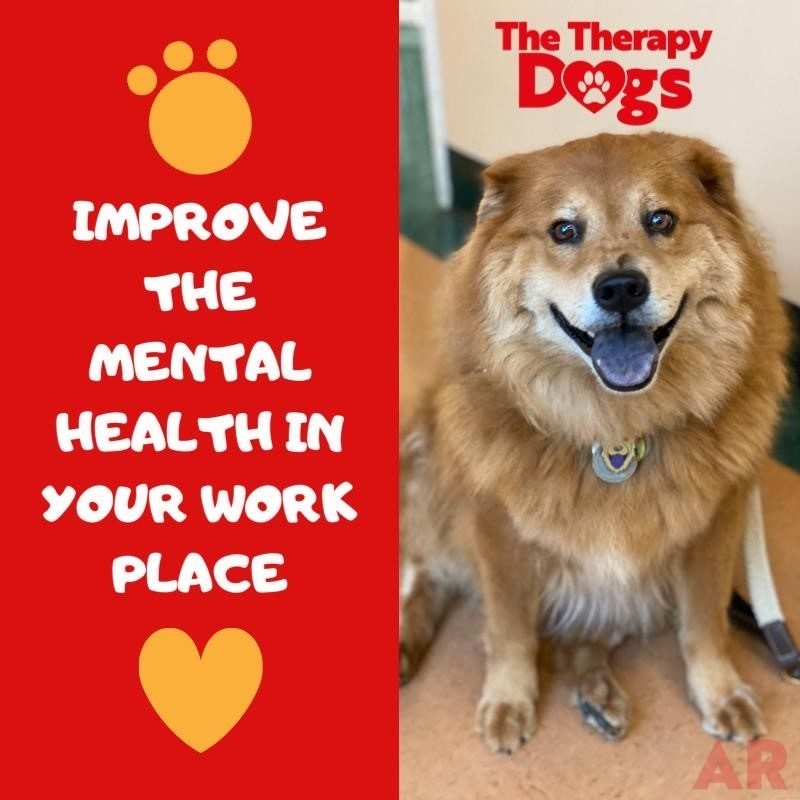 Zeus Love | Ale Ramos Therapy Animals