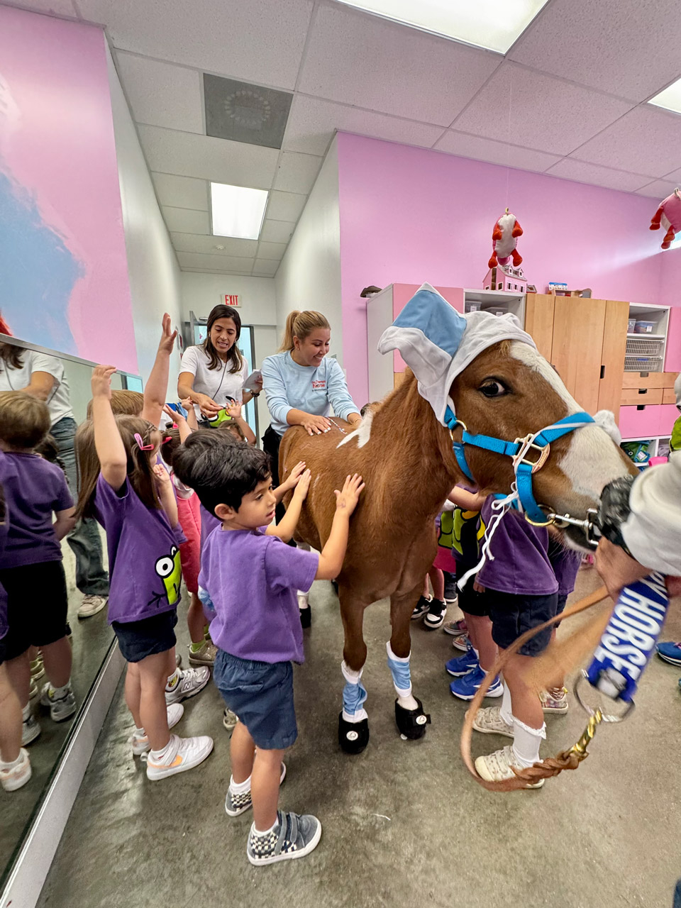Aguamarina School visit by Pegasus - April 4, 2025 | Ale Ramos Therapy Animals