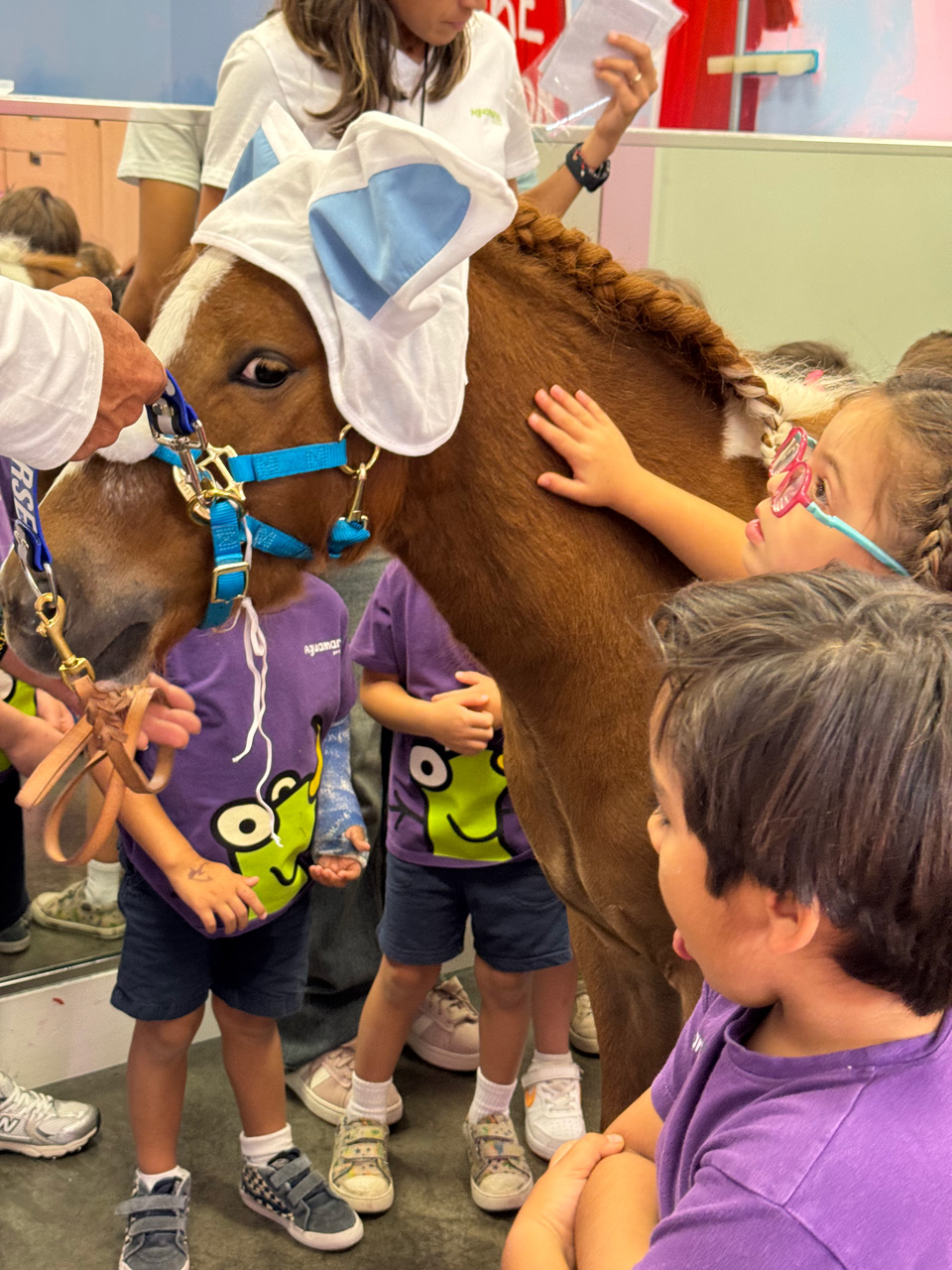 Aguamarina School visit by Pegasus - April 4, 2025 | Ale Ramos Therapy Animals