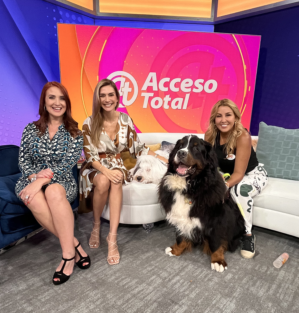 Apollo + Thor visit Acceso Total!! | Alexandra Ramos Therapy Animals
