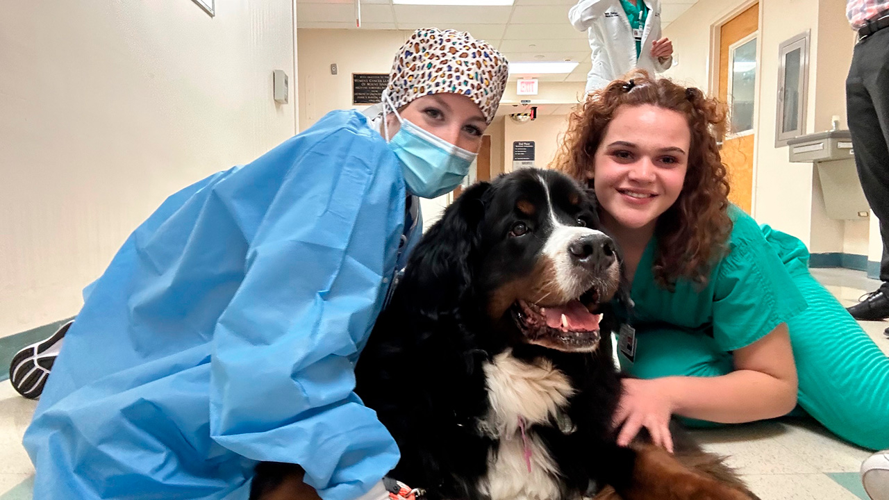  March 23, 2023 | Ale Ramos Therapy Animals